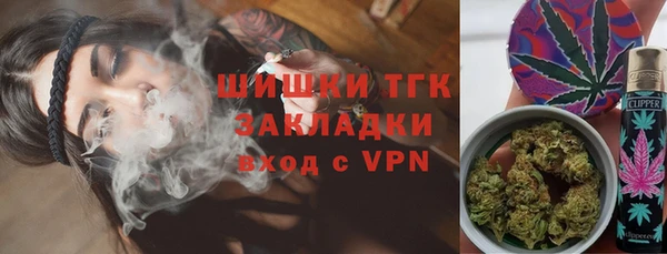 молекула духа Верхний Тагил