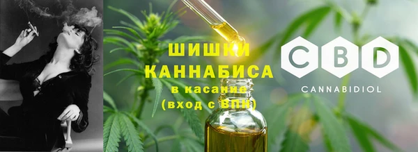 молекула духа Верхний Тагил