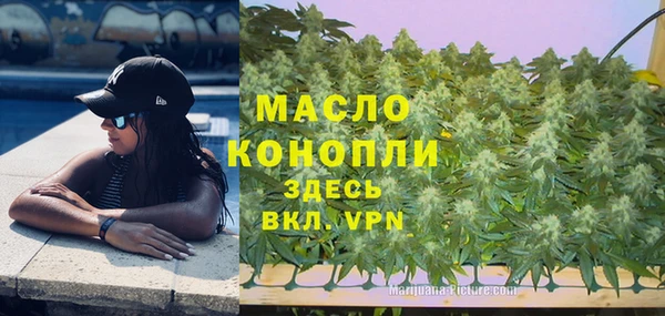 молекула духа Верхний Тагил
