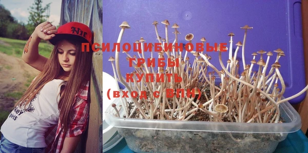 MDMA Premium VHQ Верхнеуральск