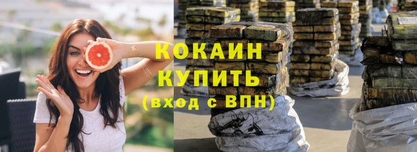 твердый Богородск