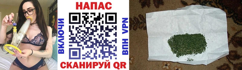Канабис ГИДРОПОН Славгород